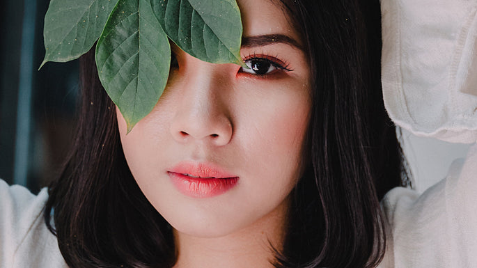 All The Lorem Ipsum Generators